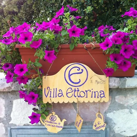 Ettorina -